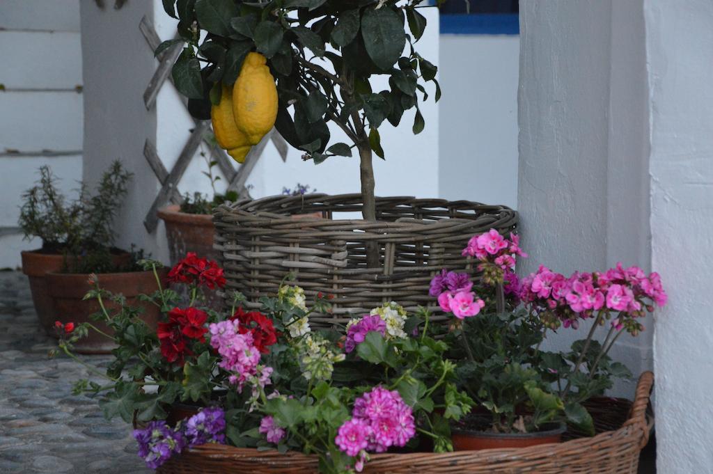 Hotel Porto Loutro On The Beach Εξωτερικό φωτογραφία